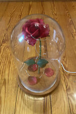 EUC Beauty and The Beast Rose - Enchanted Red Rose in Glass Dome with LED picture