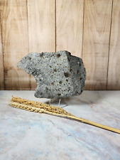nwa meteorite chondrite . - READ DESCRIPTION IMPORTANT note - Chondrite . 5060CT picture