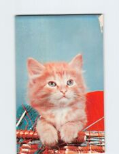 Postcard Cute Orange Kitten in a Basket picture