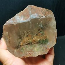Rare 723G Natural Included Garden Green Phantom Quartz free form /Scenic  WD1356 picture