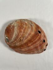 Vintage Large Natural Red Abalone Shell 8” * 6” Beach Coastal Home Decor picture
