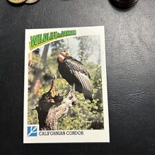 B30s Wildlife In Danger 1992 WWF World Fund #75 California Condor Bird picture