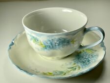 Antique O&EG Royal Austria Hand Painted Cup & Saucer picture