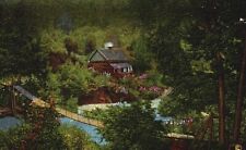 Vintage Postcard Great Smoky Mountain National Park Foothills Swinging Bridge picture