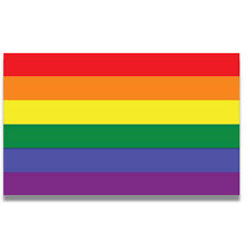 Gay Pride LGTBQ Rainbow Flag Magnetic Decal, 5x8 Inches, Automotive Magnet picture
