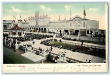 1906 White City Chicago Illinois IL, Educated Horse Pavilion Antique Postcard picture