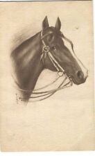 Equestrian Postcard Horse 1911 picture