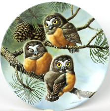 Knowles Collector China Plate Saw Whet Owls 1991 