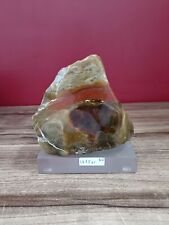 Yellow red Opalized petrified wood polished with base 1675gr 8x10x14cm (20) picture