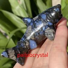 1pcs Natural Rhyolite Shark Quartz Crystal Skull Carved Figurines Gem Healing 3