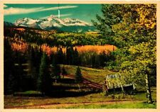 Vintage Postcard 4x6- MT. WILSON, SAN MIGUEL RANGE, TELLURIDE - CORTEZ, CO. picture