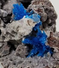 Pentagonite Cavansite Crystals on Matrix (Wagholi Mine) picture