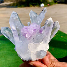 1.22LB Newly Discovered White+Purple Phantom Quartz Crystal Cluster Mineral picture