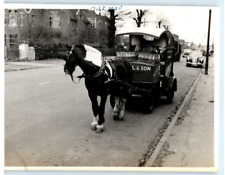 Vintage Photo 1953, Horse drawn carriage, Buggy, Egnland ,JNHC 4.5x3.5 picture