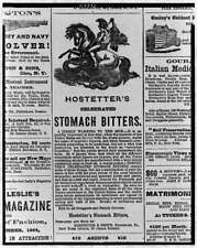 Photo of Advertisement,Hostetter's Celebrated Stomach Bitters,1864,Frank Leslie picture