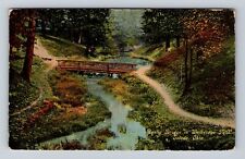 Toledo OH-Ohio, Rustic Bridge In Walbridge Park, Vintage c1906 Souvenir Postcard picture