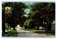 1910 Beautiful Springfield (Third Street) Jacksonville Florida FL Postcard picture