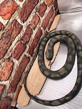Vintage Huge Heavy Thick Black Rubber Snake 6 Foot Snake Real Skin Color Look picture