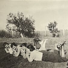 Antique Snapshot Photograph Beautiful Charming Young Women Laying In Grass picture