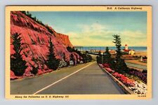 CA-California, A California Highway, US Highway 101, Antique, Vintage Postcard picture