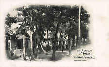 An Avenue of Tents, Ocean Grove, New Jersey,  1898 Private Mailing Card, Unused picture