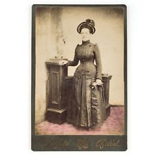 Woman Holding Gloves Cabinet Card c1890 Harford Tinted Pedestal Lady Photo A3228 picture