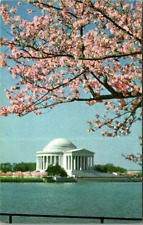 Vintage Washington DC Jefferson Memorial Postcard Unposted picture
