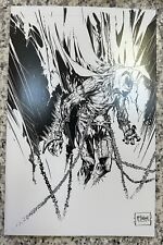 Spawn #350 Cover F McFarlane B&W Image Comics - Variant - 2024 - Beautiful Raw picture