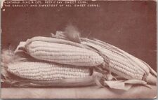 1910 Seed Advertising Postcard 