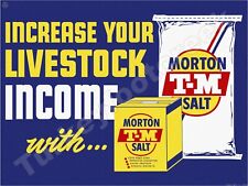 Morton T-M Salt  9