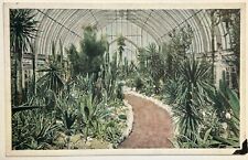 Missouri Botanical Garden. Cacti. Succulents. St Louis Vintage Postcard picture