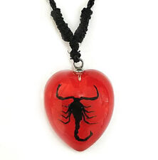 REAL RED BLACK SCORPION HEART SHAPE NECKLACE PRESERVED SPECIMEN ADJUSTABLE CHAIN picture