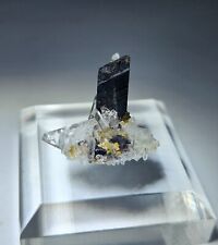 ***WOW-Combo Hubnerite on Quartz crystals, TN mine Peru*** picture