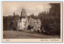 Sinaia Prahova Romania Postcard Pelisor Castle Entrance View c1920's Unposted picture