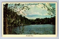 Delton MI-Michigan, General Greeting Panoramic View Wooded Cove Vintage Postcard picture