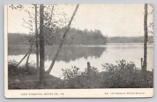 Lake Hiawatha Wayne County Pennsylvania c1907 Antique Postcard picture