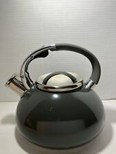 Balduzzi Italian Style Induction Eco friendly Stainless Steel Teapot Soft Handle picture