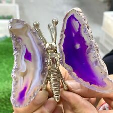 93G Natural Beautiful Agate Geode Handcarved Butterfly Druzy Gemstone picture