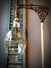 Grand Nostalgic Edison Light Bulb- Oversized BT56 Shape, 60 watt Incan. Filament picture