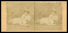 Woman in a Field Neckline, ca.1880, Stereo Vintage Print Stereo, Legend picture