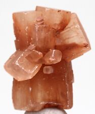 ARAGONITE Natural Flower Crystal Cluster Mineral Specimen MOROCCO Red Orange picture