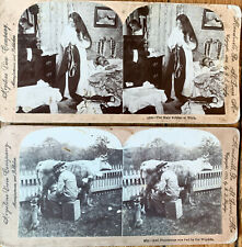 1899 Humor Farmer Cat Woman Thief Keystone View Company Stereoscope Cards Lot 2 picture