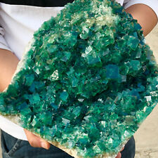 24.64lb Natural Green cubic Fluorite Crystal Cluster mineral sample healing picture