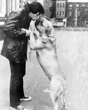 Rocky Sylvester Stallone as Rocky Balboa with his dog 8x10 inch photo picture