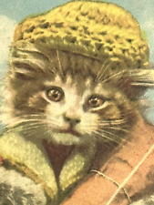 Cat Postcard Dressed Anthropomorphic Shopper Package Bag Switzerland C.1952 u/s picture