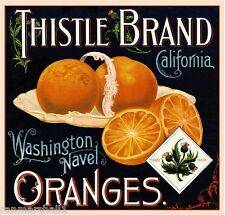 Riverside Thistle #1 Orange Citrus Fruit Crate Label Art Print picture