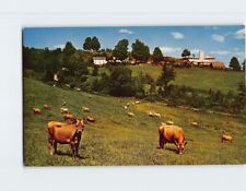 Postcard Cows Farm Town/City Trees Landscape Scenery picture