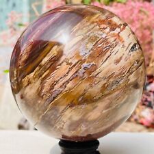 5.99lb Large Natural Petrified Wood Crystal Fossil Sphere Specimen Healing picture