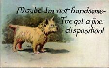Cairn Terrier Comical Pups Not Handsome Fine Disposition Humor c1910s NP7 picture