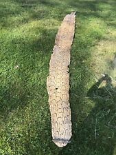 Rare Full Body Super Long 14 Foot Rock Python Snake Skin Shed Hide Vintage Real picture